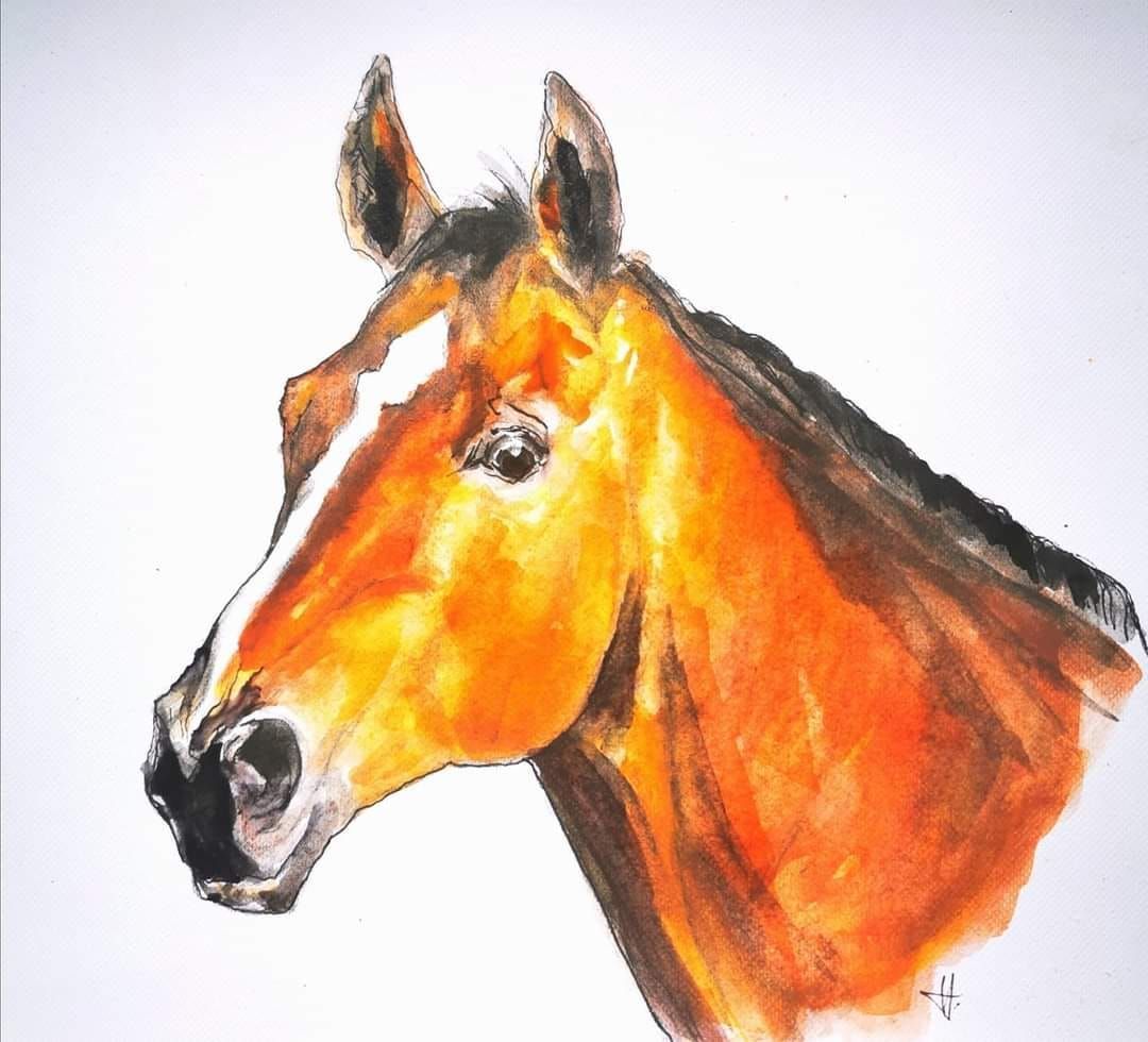 Foto zeigt eine Aquarellzeichnung Pferd