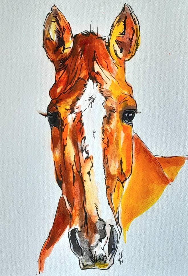 Foto zeigt eine Aquarellzeichnung Pferd