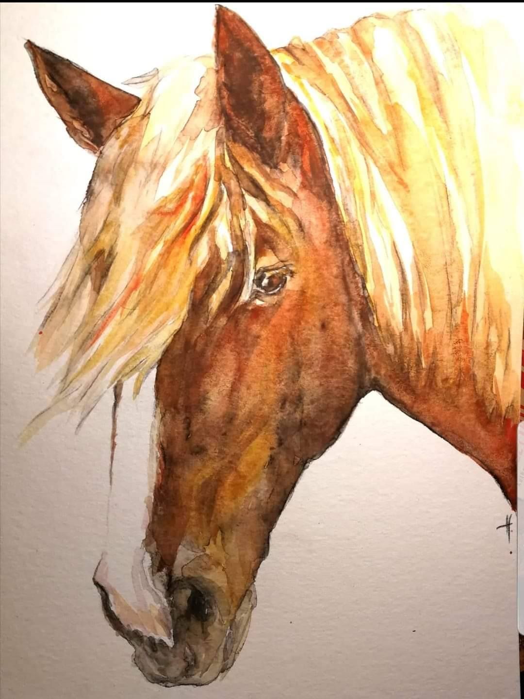 Foto zeigt eine Aquarellzeichnung Pferd