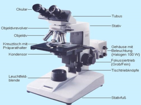 Dunkelfeld-Mikroskop mit Bezeichnungen der einzelnen Teile