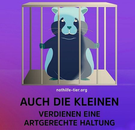 Auch die Kleinen verdienen eine artgerechte Haltung