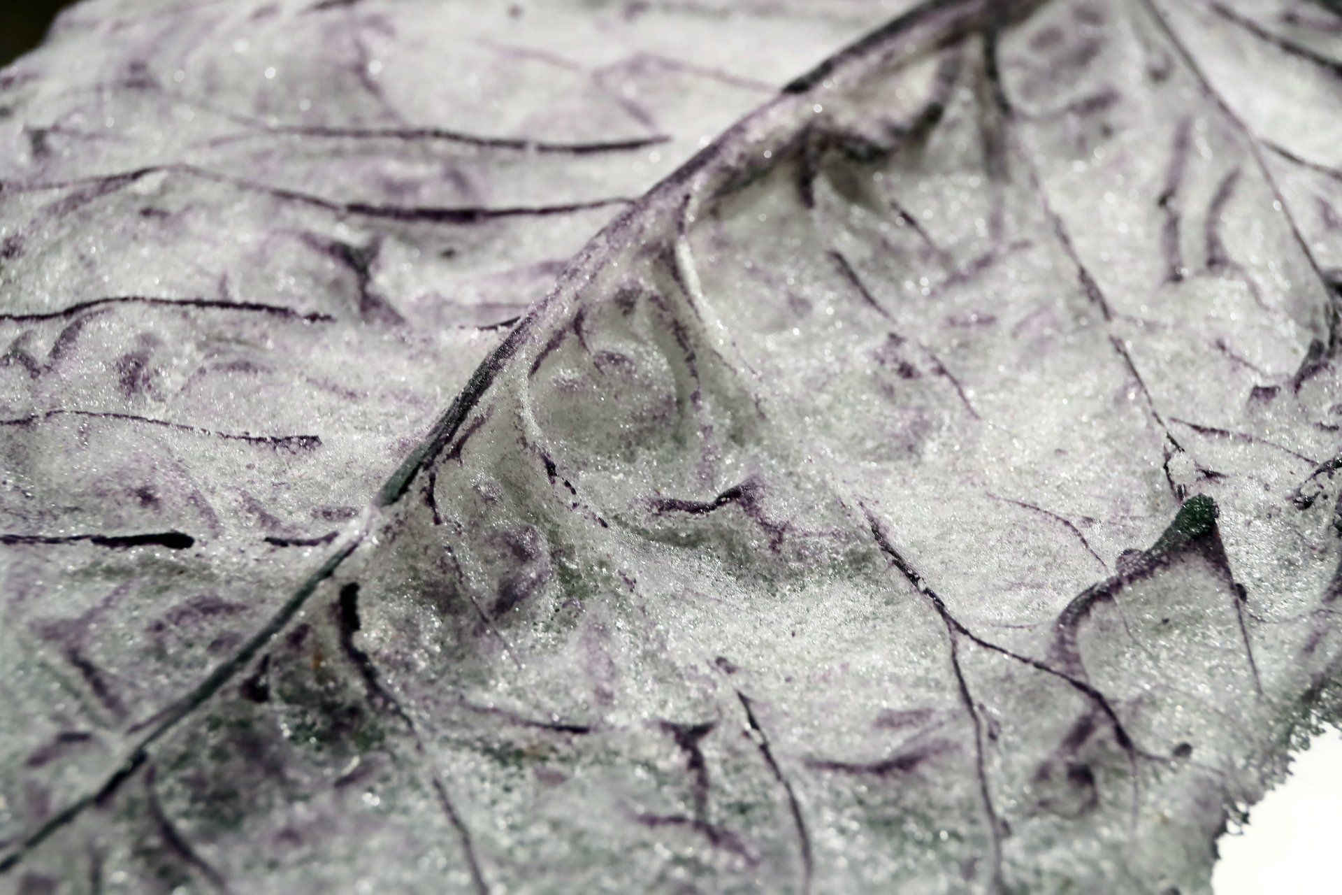 Pate de Verre Anett Tanger