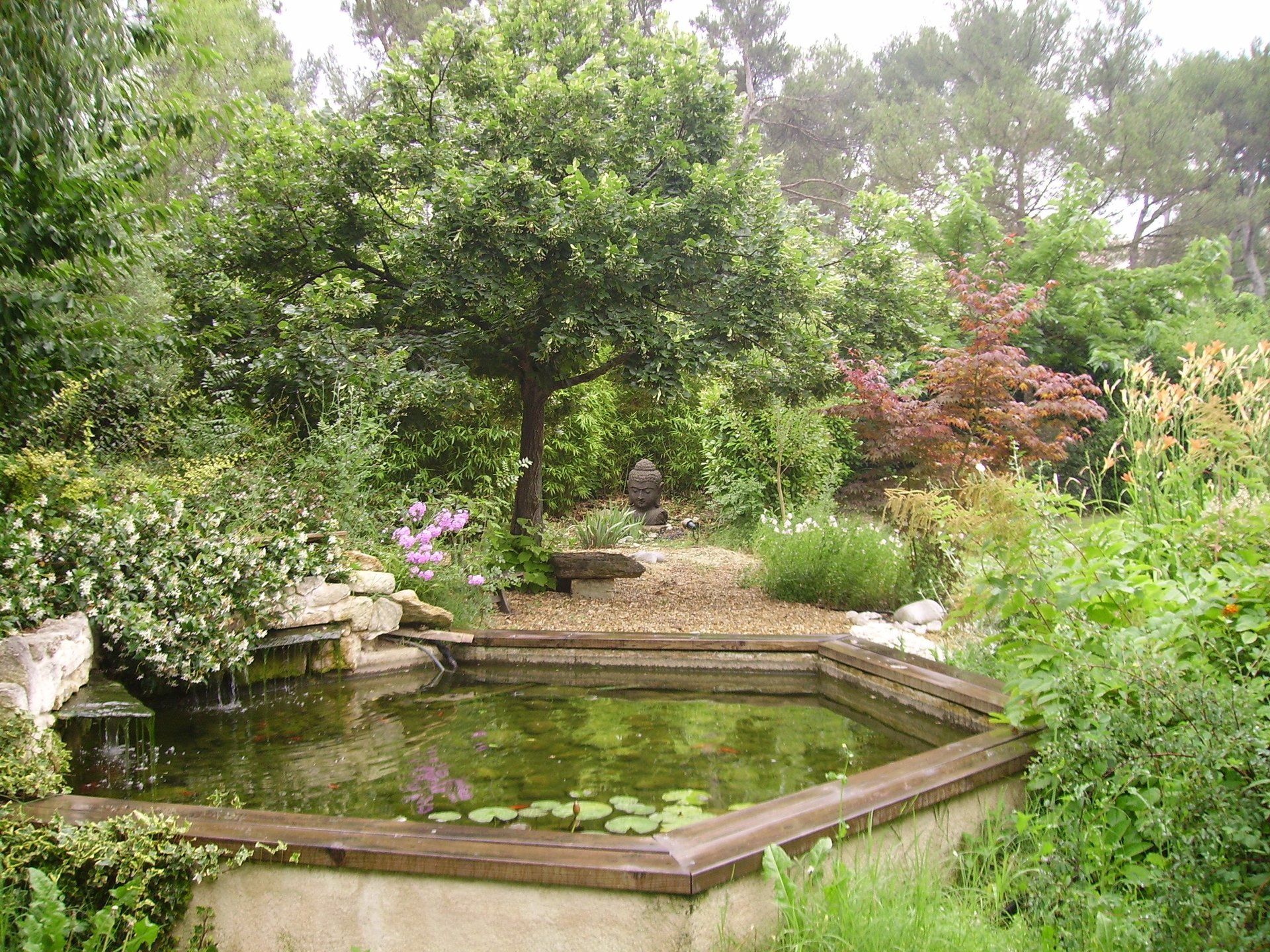 jardin zen, jardin exotique, jardin contemporain, jardin d’Éden, jardin méditerranéens, jardin ornementaux