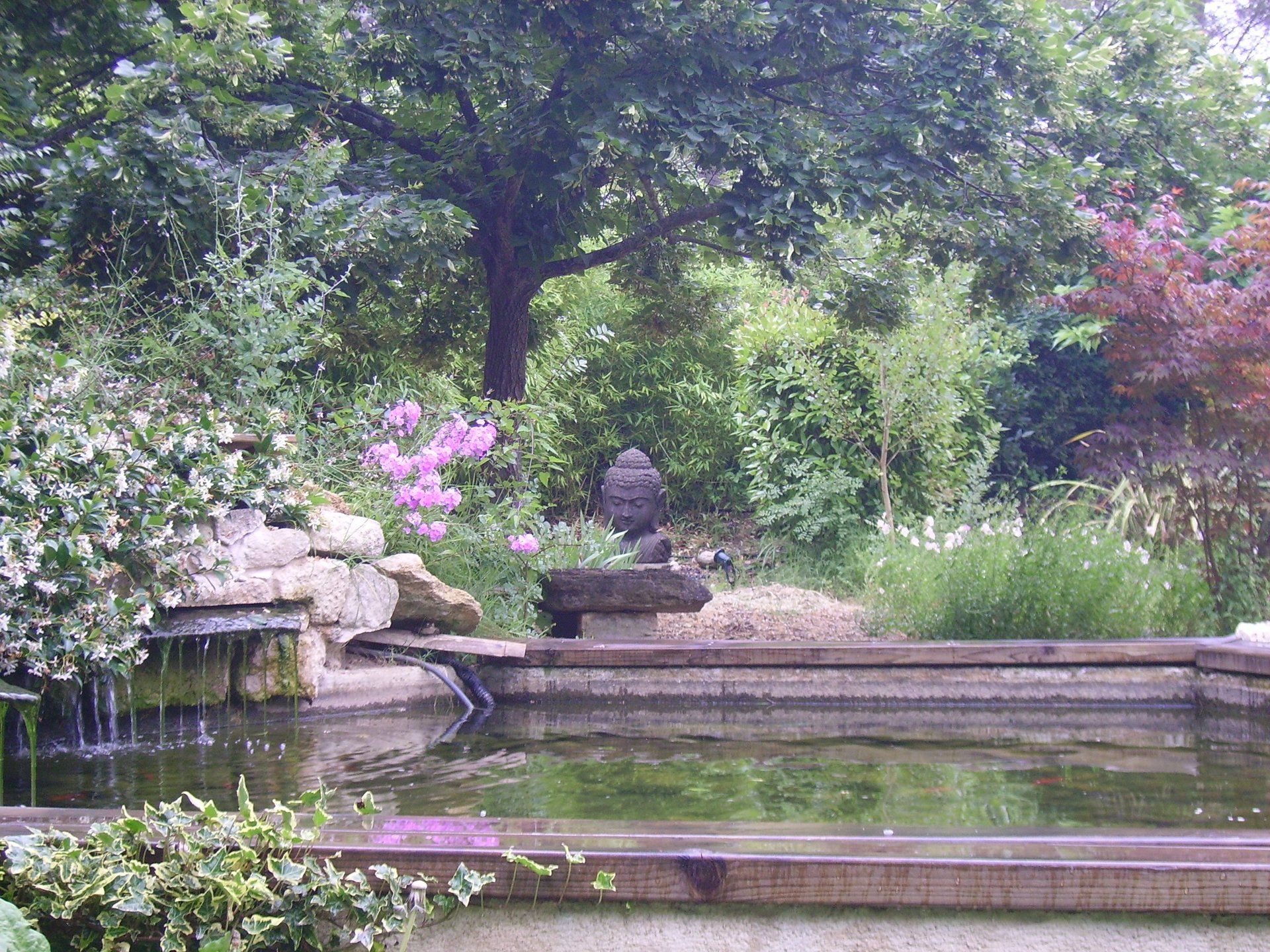 jardin zen, jardin exotique, jardin contemporain, jardin d’Éden, jardin méditerranéens, jardin ornementaux