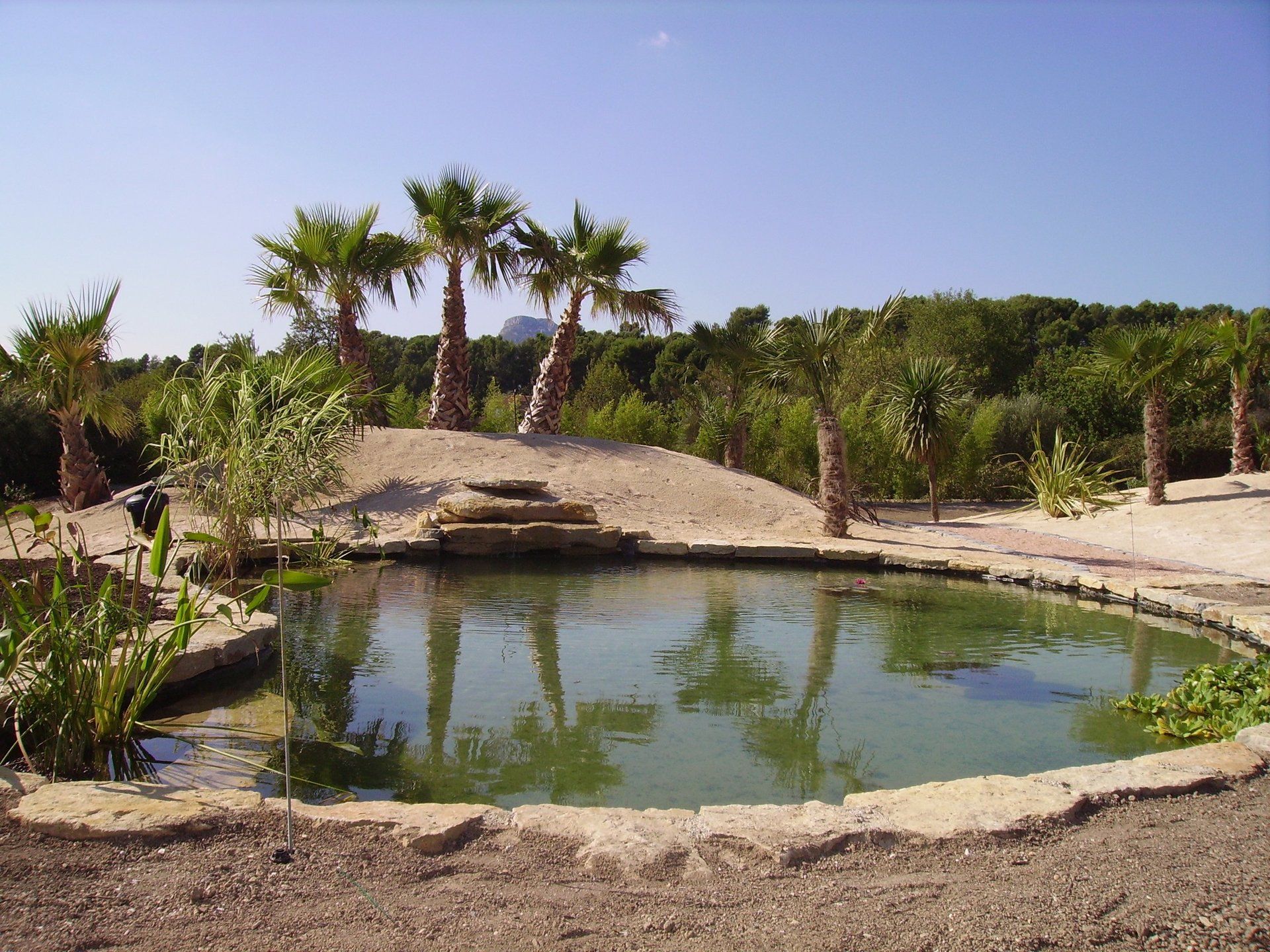 bassin, jardin zen, jardin exotique.....