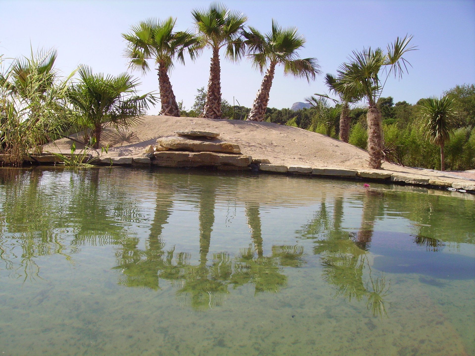 jardin zen, jardin exotique, jardin contemporain, jardin d’Éden, jardin méditerranéens, jardin ornementaux
