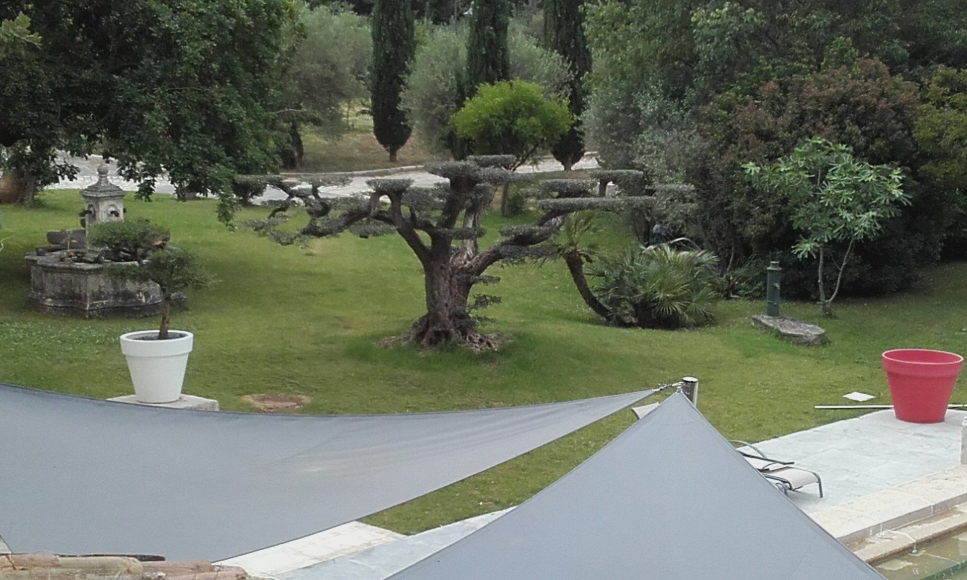 jardin zen, jardin exotique, jardin contemporain, jardin d’Éden, jardin méditerranéens, jardin ornementaux