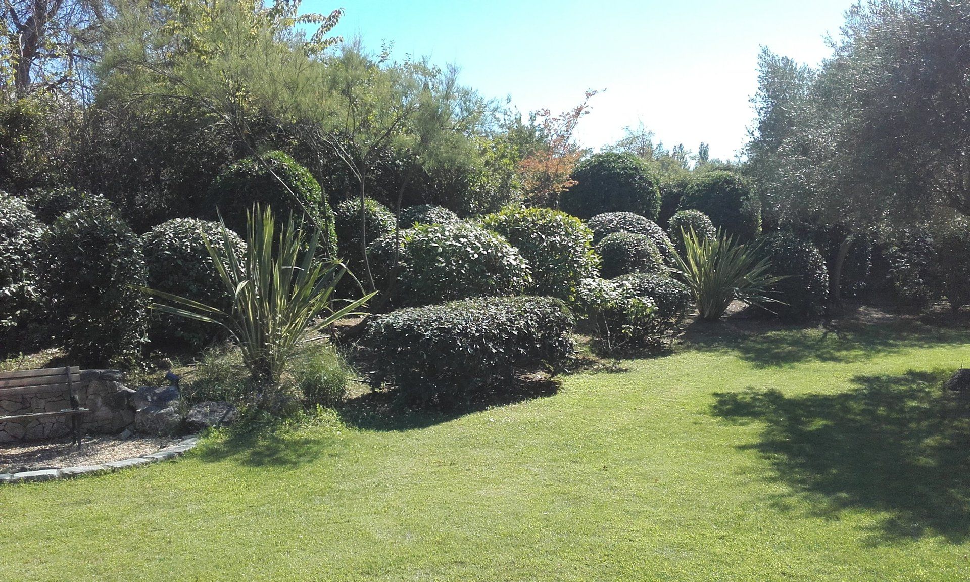 jardin zen, jardin exotique, jardin contemporain, jardin d’Éden, jardin méditerranéens, jardin ornementaux