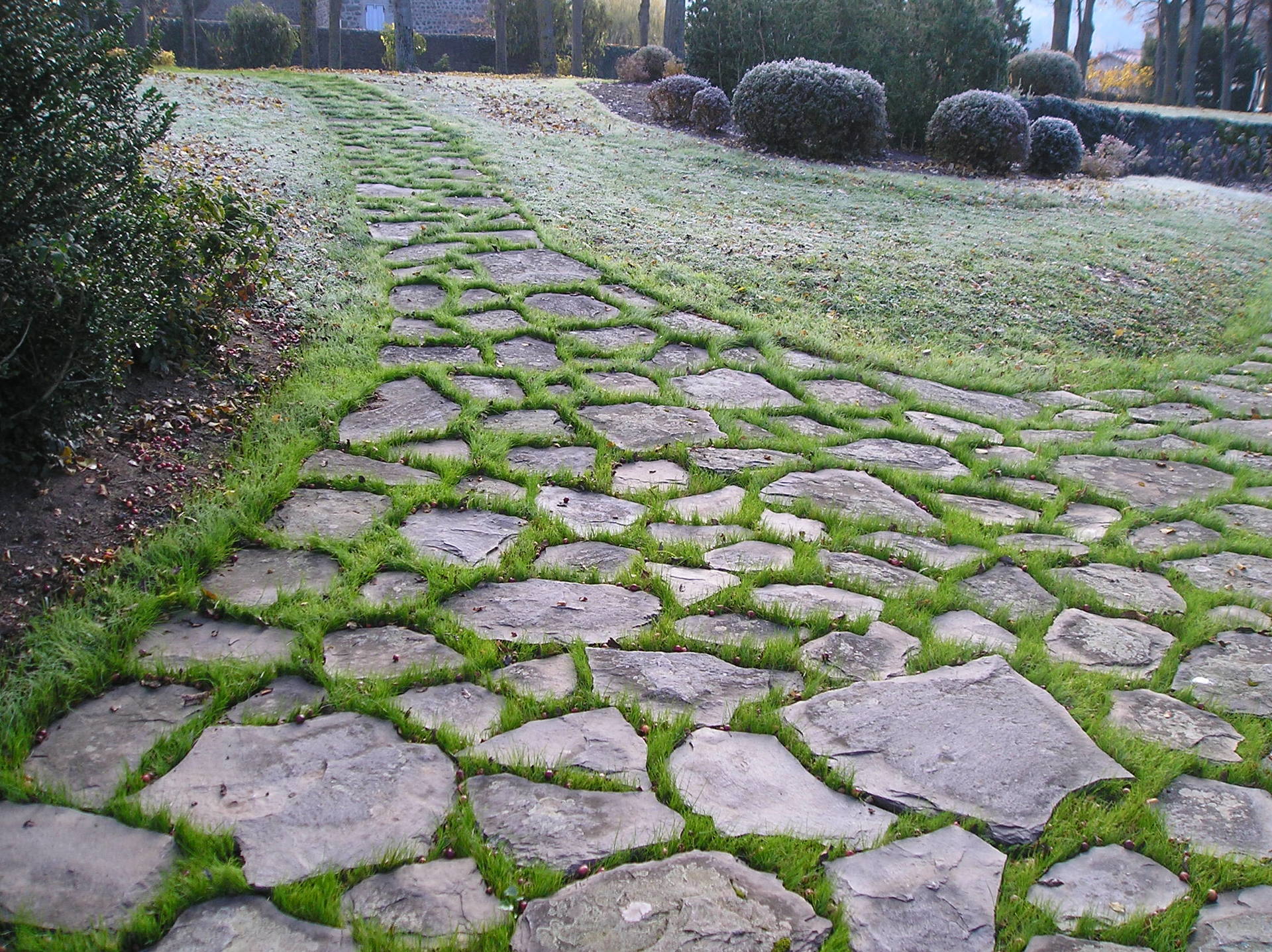 terrasse, voies carrossables, allées piétonnières, pas japonais, barrettes d'ardoise, en dalles de pierre, pavé granit, opus...