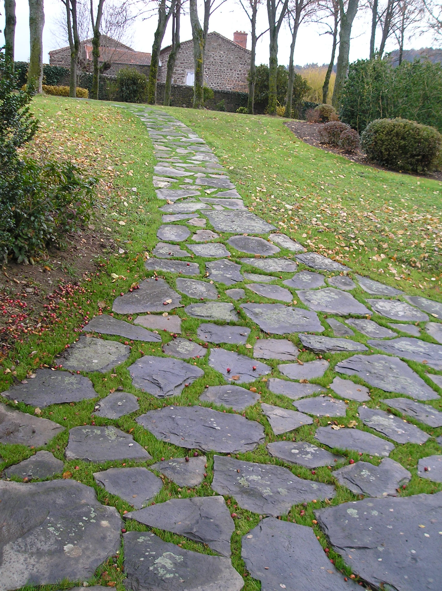 terrasse, voies carrossables, allées piétonnières, pas japonais, barrettes d'ardoise, en dalles de pierre, pavé granit, opus...