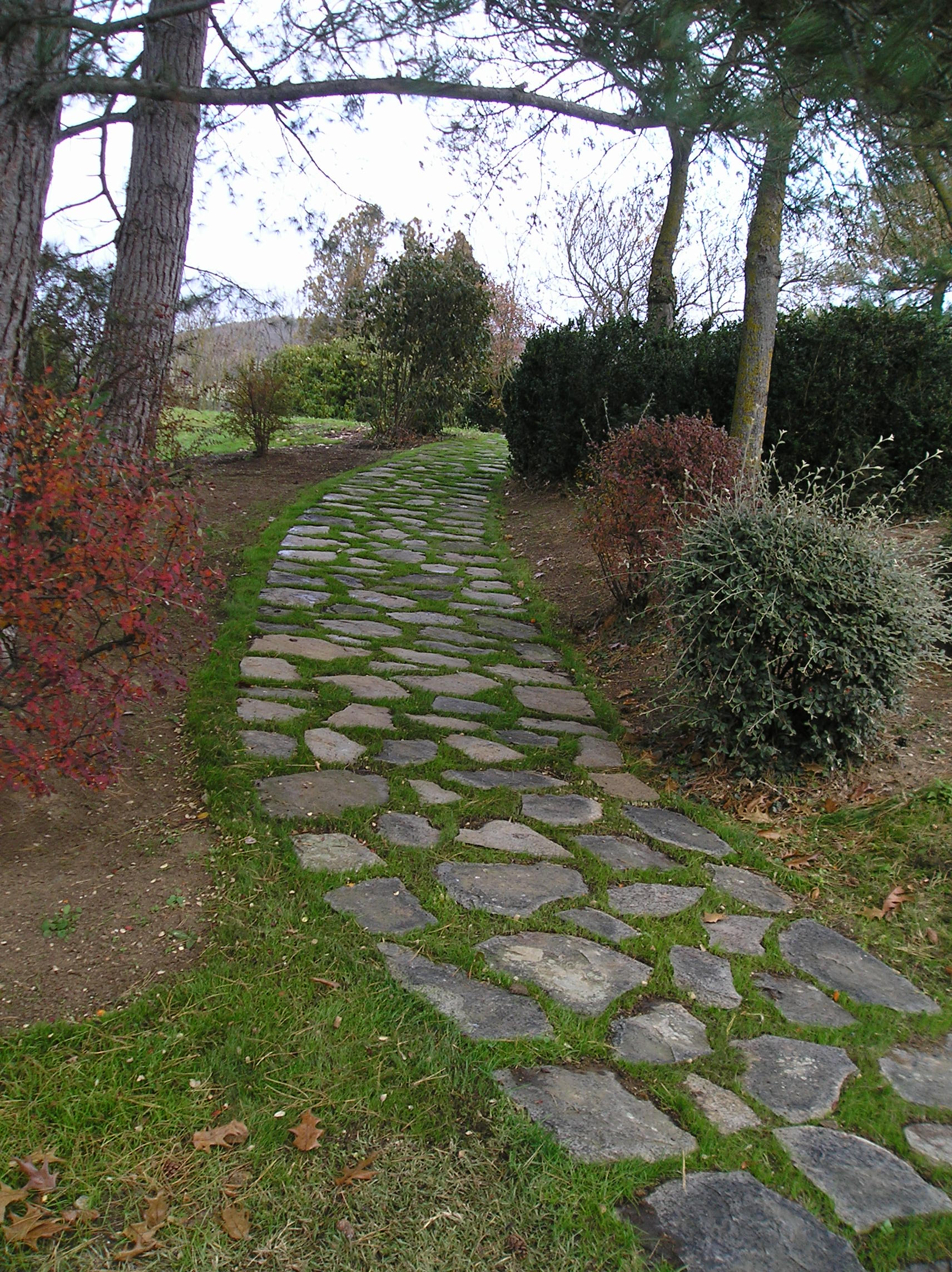 terrasse, voies carrossables, allées piétonnières, pas japonais, barrettes d'ardoise, en dalles de pierre, pavé granit, opus...