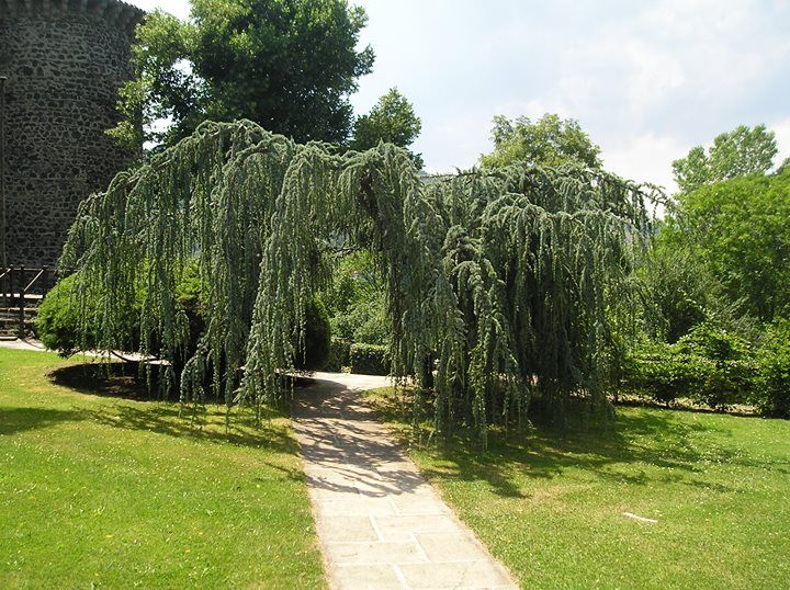 terrasse, voies carrossables, allées piétonnières, pas japonais, barrettes d'ardoise, en dalles de pierre, pavé granit, opus...