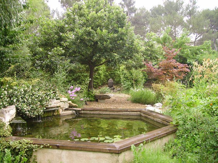bassin, jardin zen, jardin exotique.....