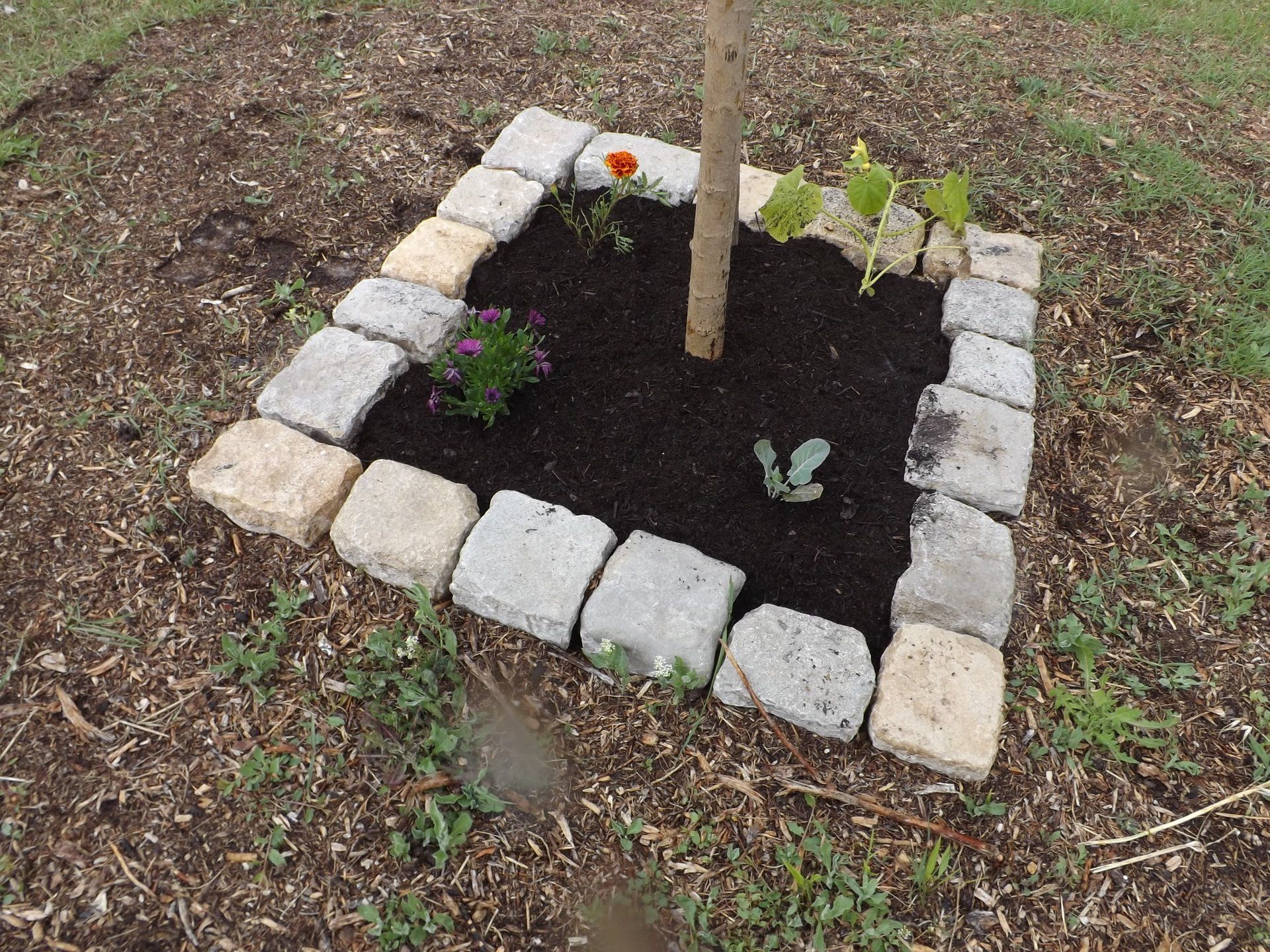terrasse, voies carrossables, allées piétonnières, pas japonais, barrettes d'ardoise, en dalles de pierre, pavé granit, opus...