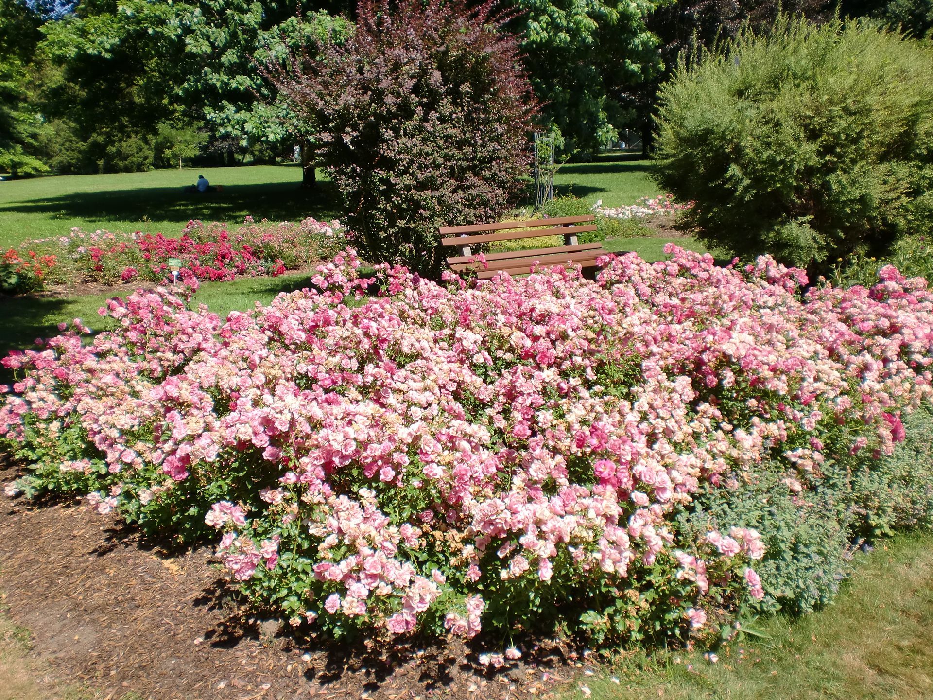 Spirituelle psychologische Begleitung Annegret Hörmann