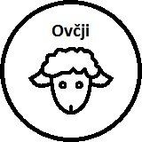 Ovčji