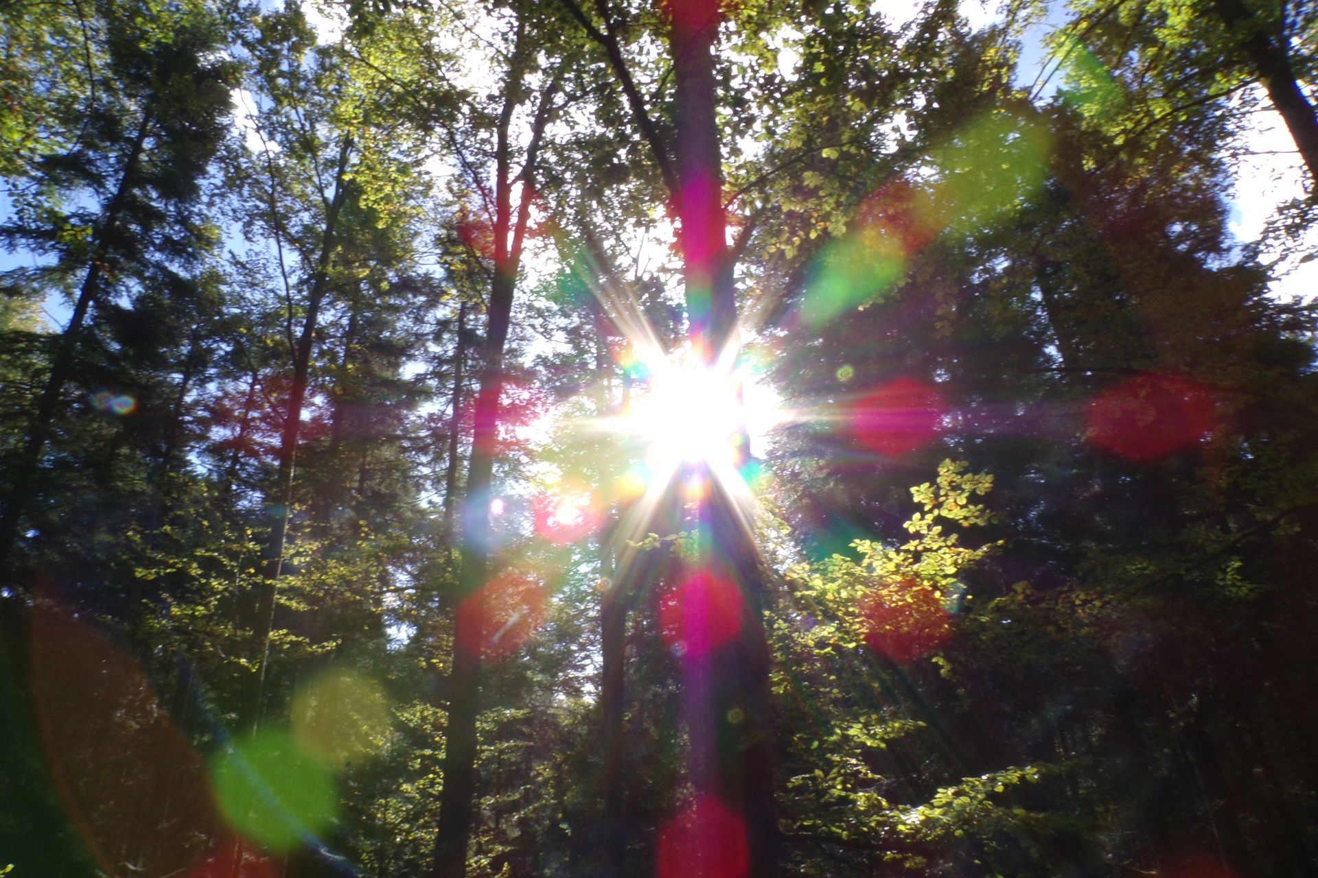 Echowind Music New Chapter 2025