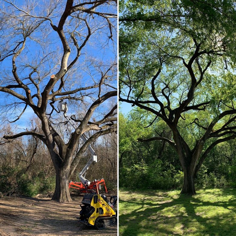 T&M Tree Service Serving Tulsa, Broken Arrow, Tree Service Near Me