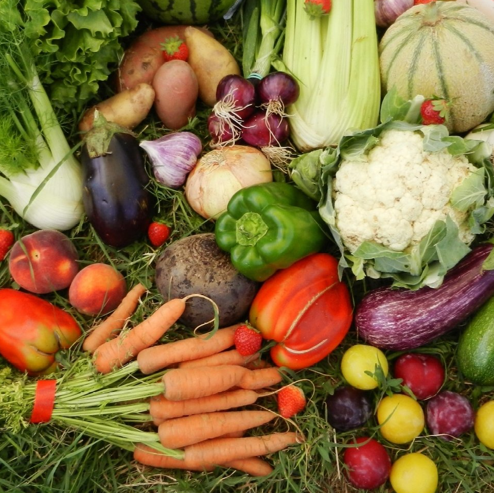 Fruits et légumes locaux Verger de Candie