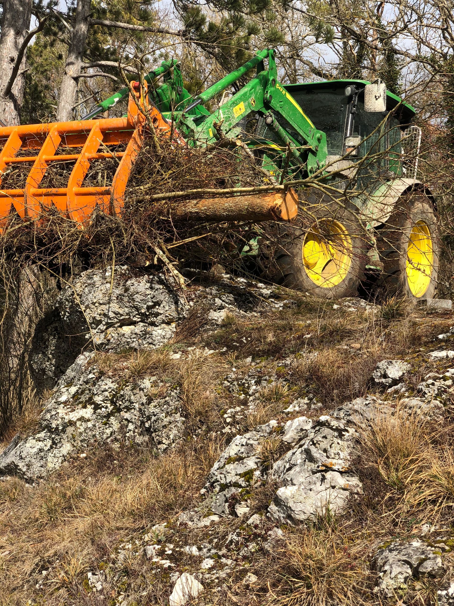 Gespaltener Fels Donautal