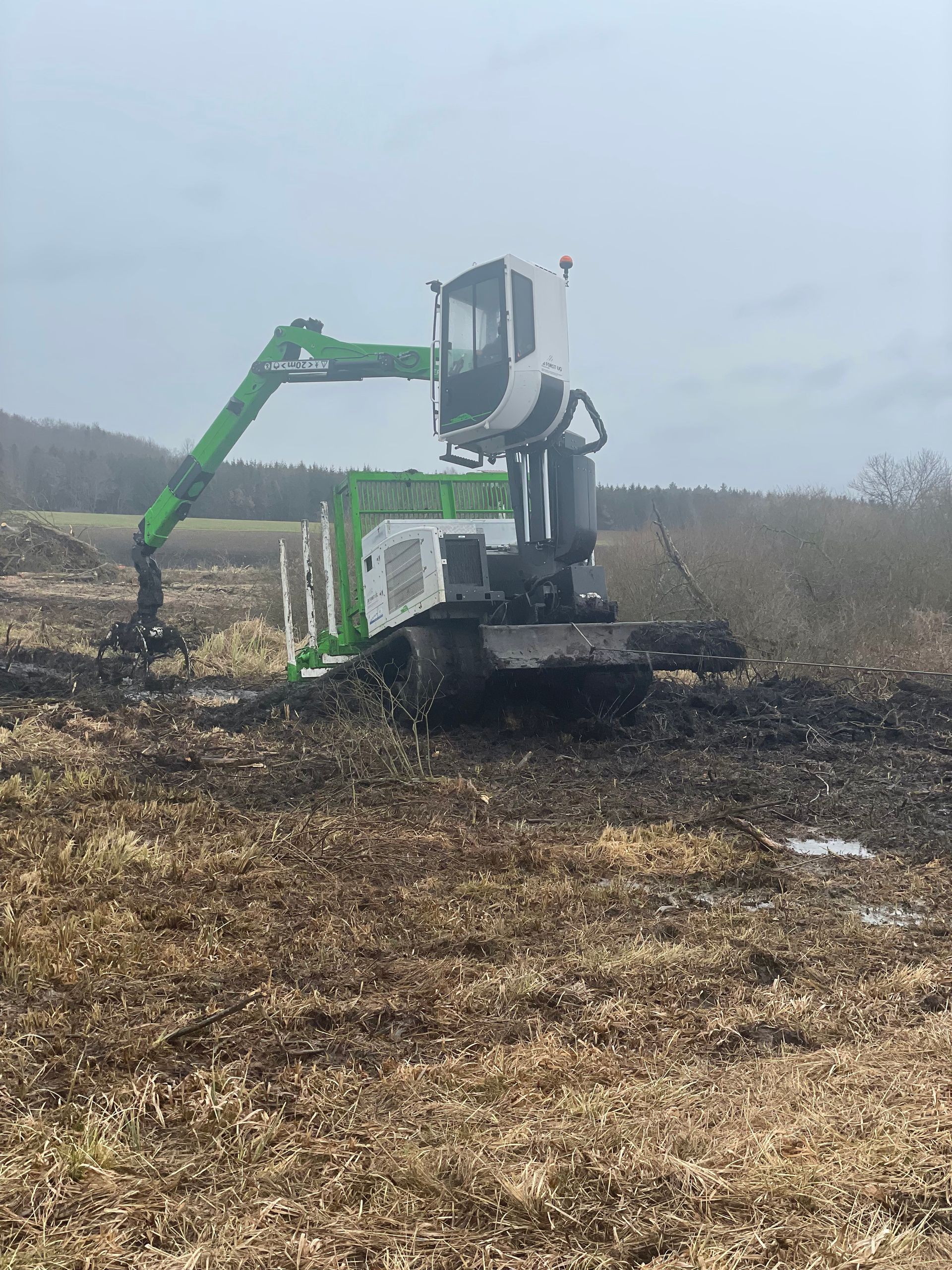 Gedüngtes Ried, Ingerkingen