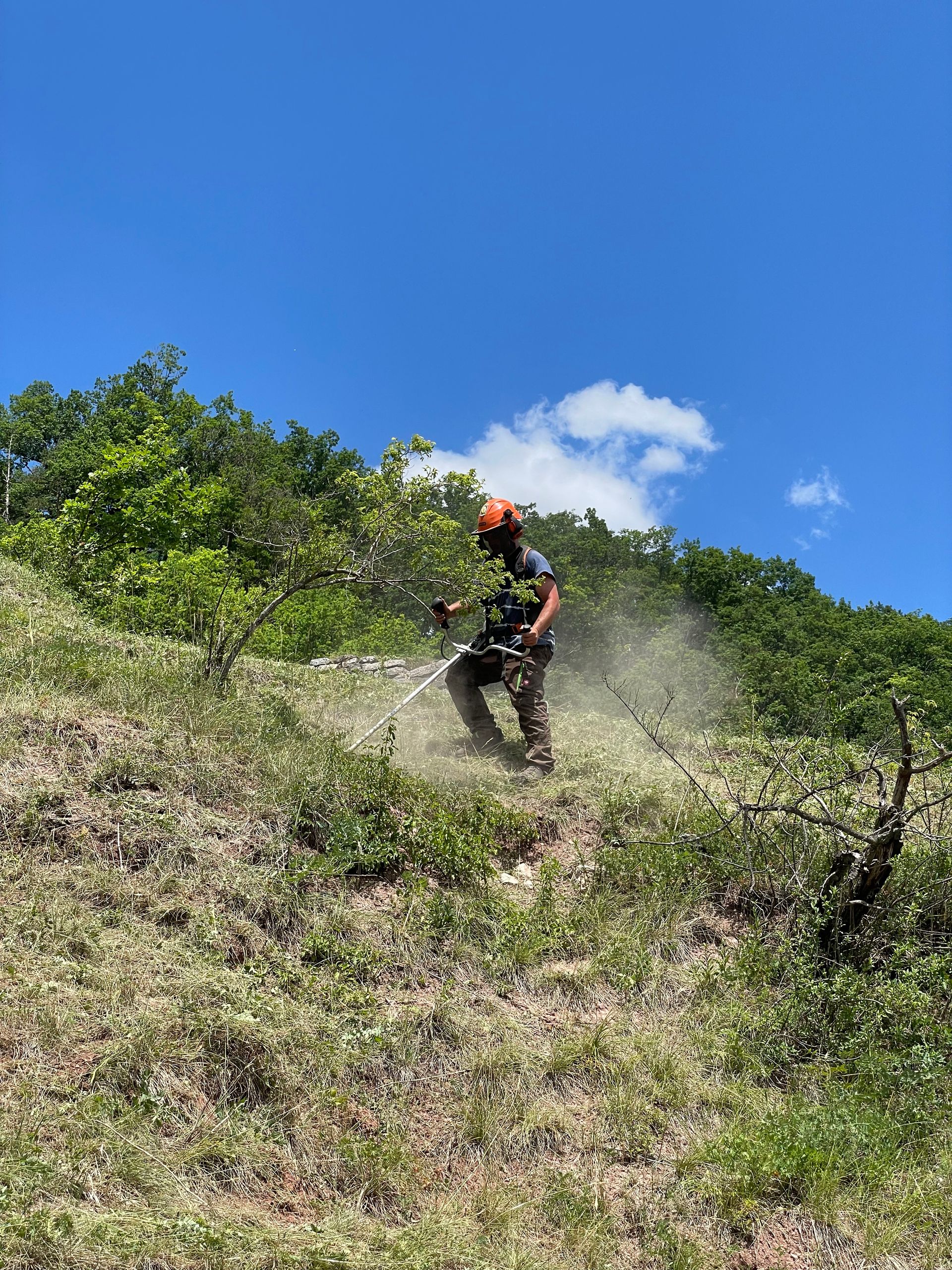 Spitzberg, Tübingen