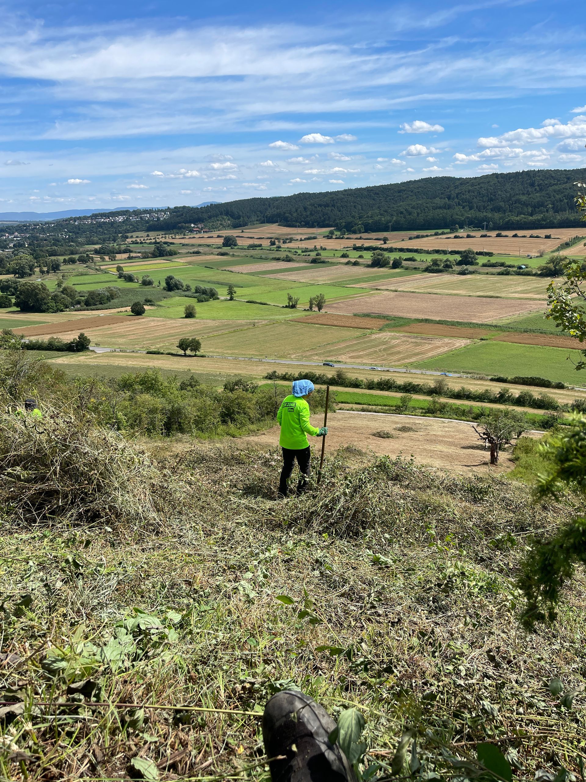 Hirschhalde, Unterjesingen