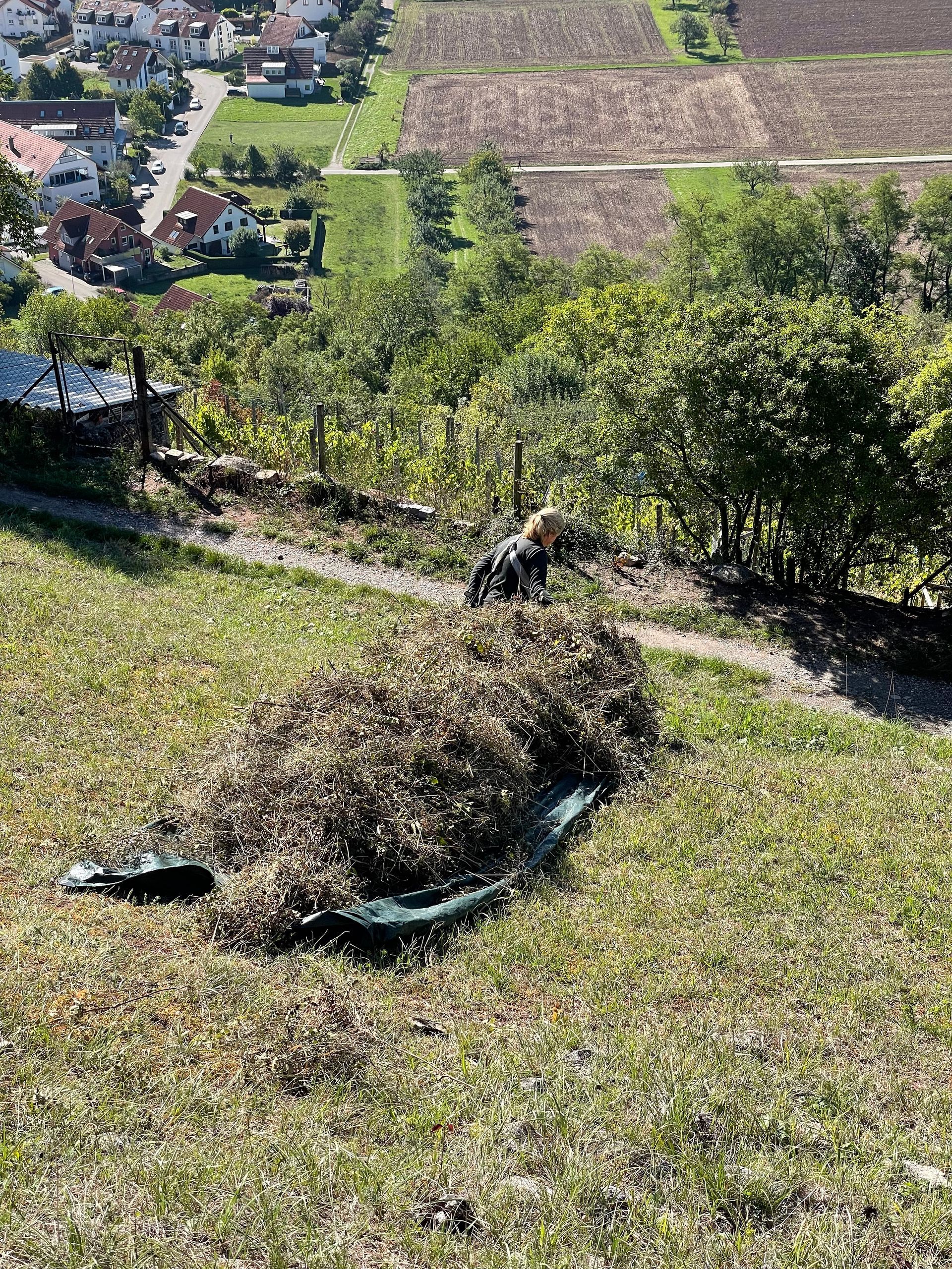 Spitzberg, Tübingen