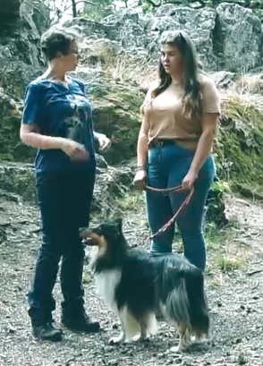 Collie Ronja als Probehund