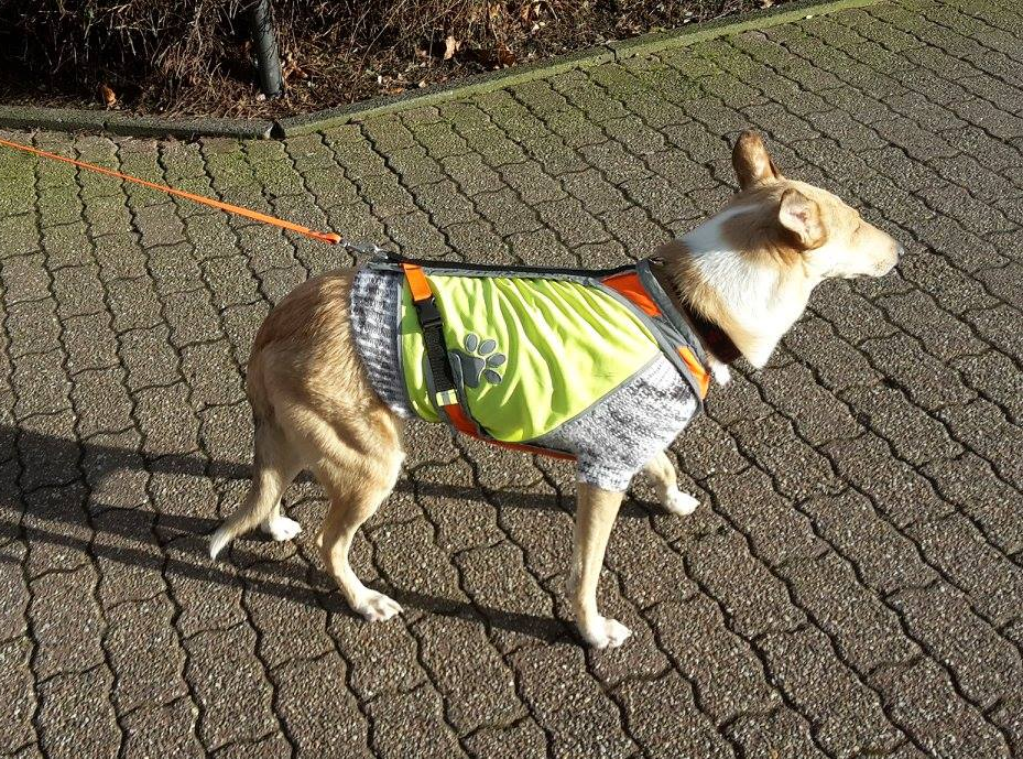 Trailen in Kempen