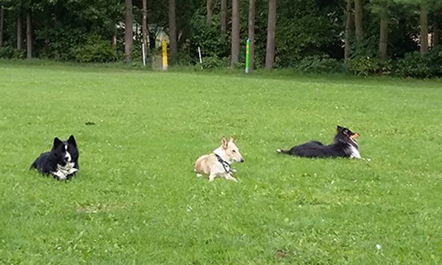 Platz-Übung in Tönisvorst