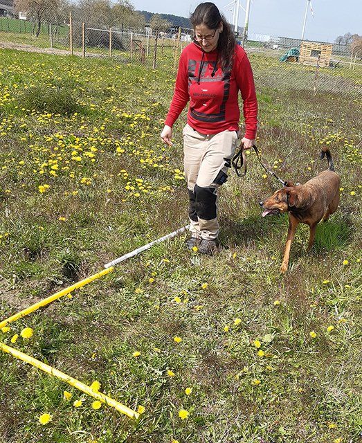 Senioren- und Handicap-Kurs in Straelen