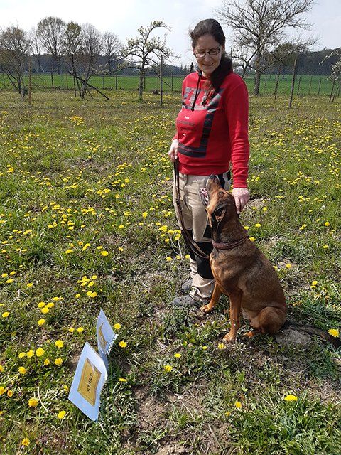 Rally Obedience in Straelen