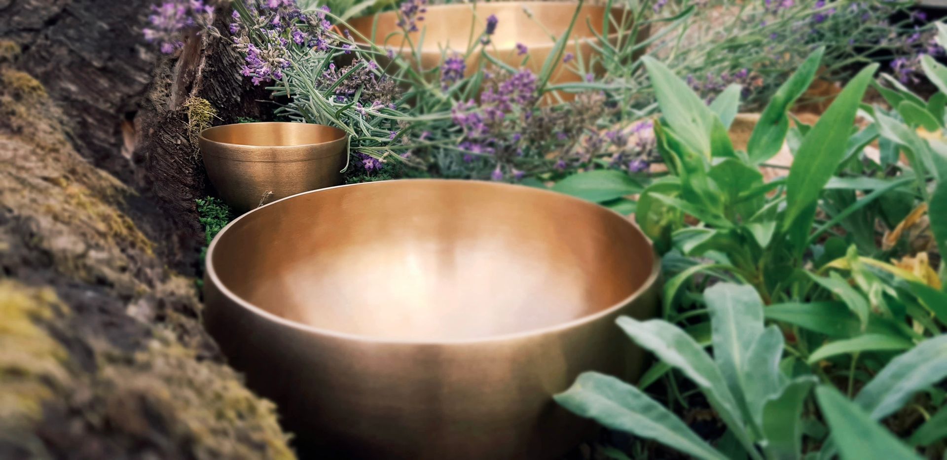 Klangschale an einem bemoosten Ast, mit Blumen an den Seiten.