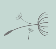 drei Pusteblumensamen als Grafik