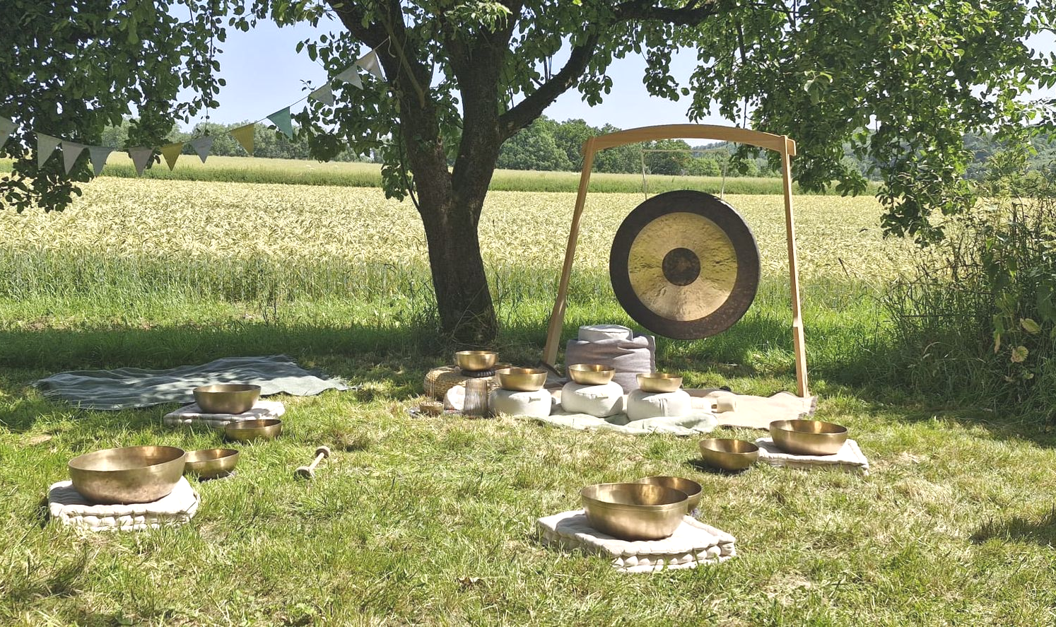 großer Gong und viele Klangschalen auf einer Wiese im Kreis gestellt, unter großem Baum