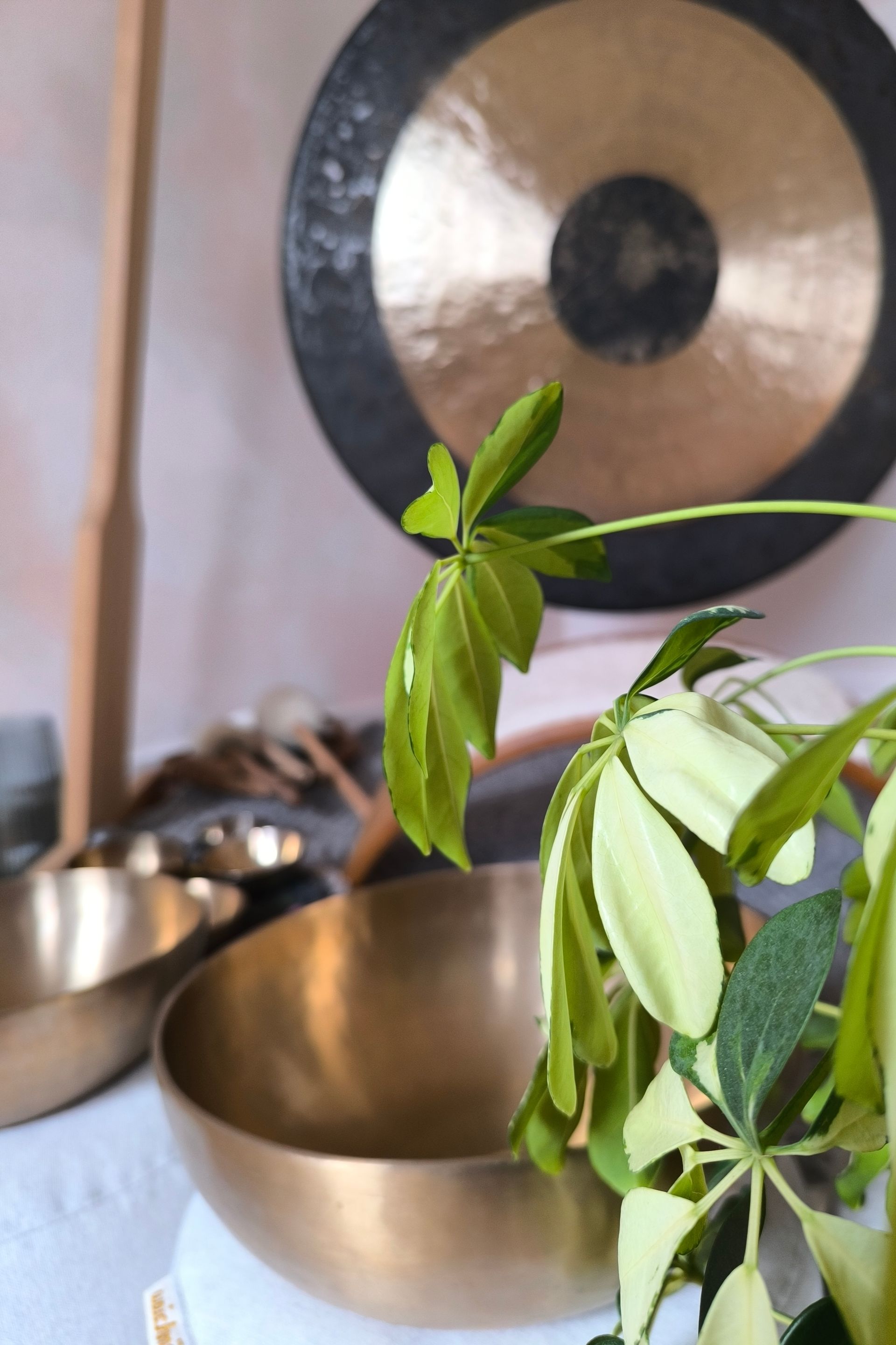 Bildauschnitt vom Entspannungsraum im Atelier Samenkorn in Detmold.