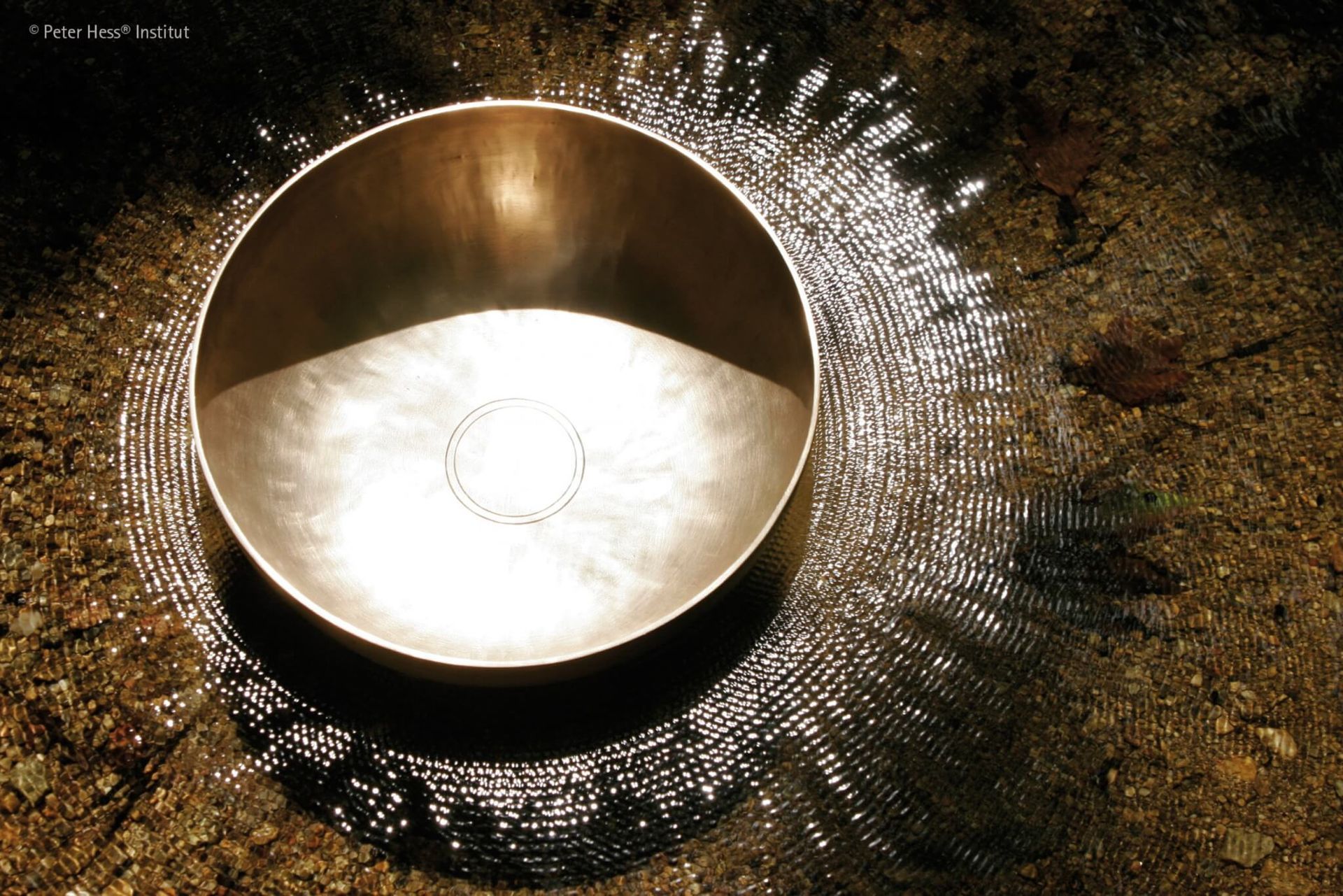 Eine Klangschale schwimmt auf dem Wasser. Schwingungen sind sichtbar auf der Wasserobergläche.