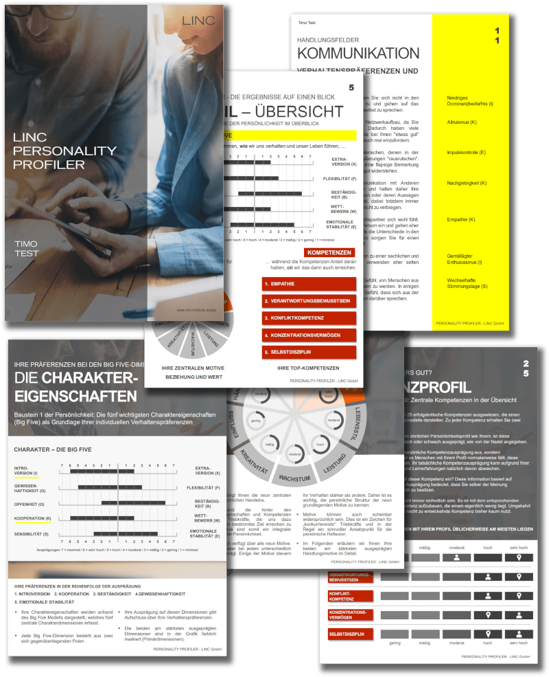 LINC Personality Profile (LPP)