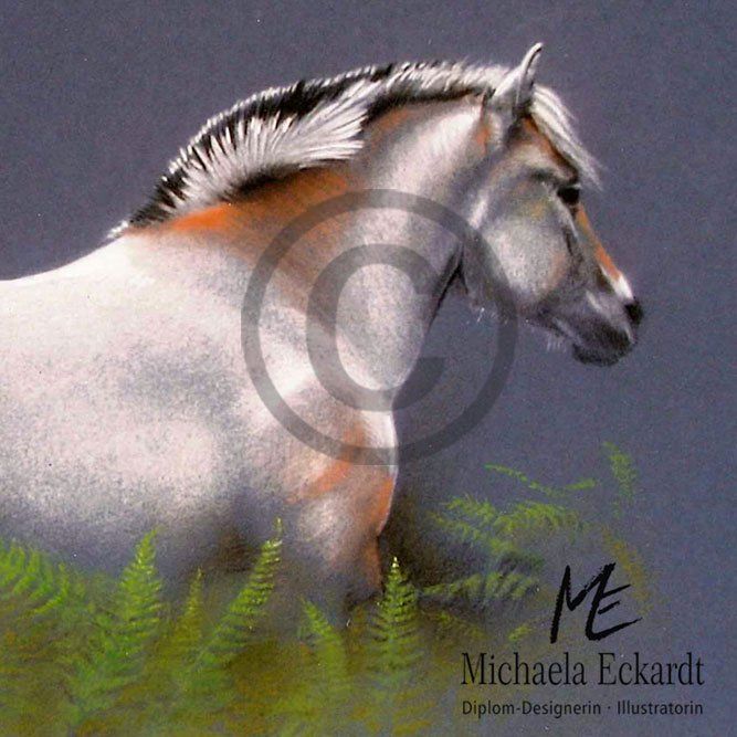 Fjordpferd, stammt aus einer alten, nordischen Pferderasse