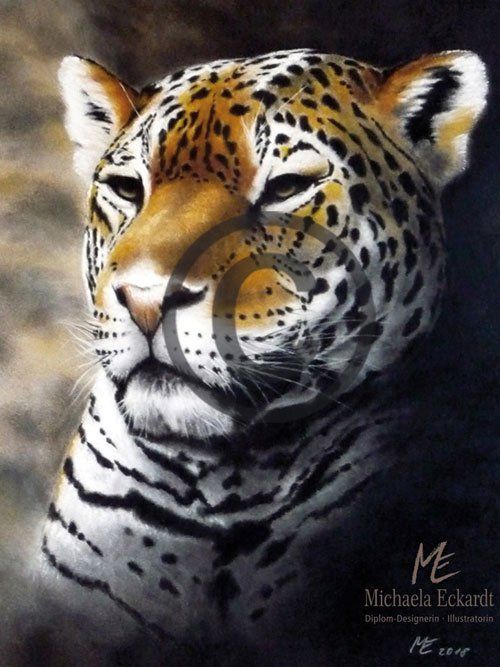 Jaguar, ein kraftvoller Jäger im Regenwald des Amazonas.