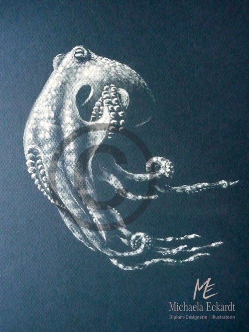 Oktopus, ein Kopffüßler mit Charakter