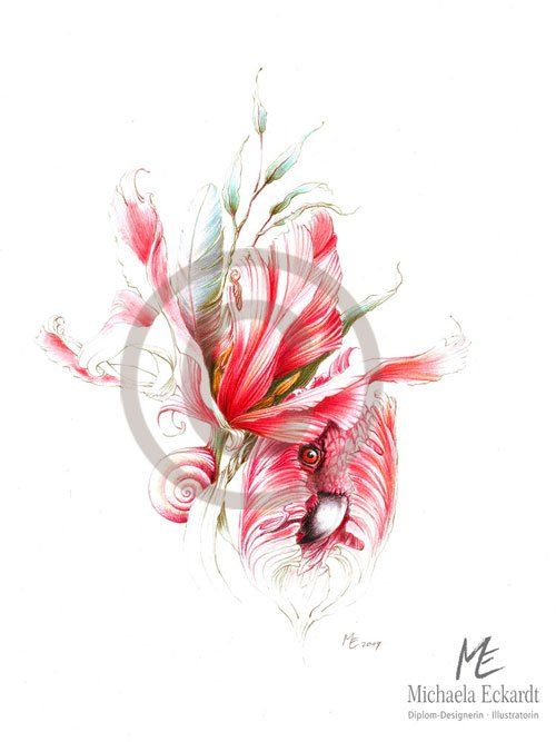 Papageientulpe, fantastisch und surreal.