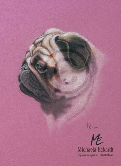 Tierportrait Mops, Pastellzeichnung