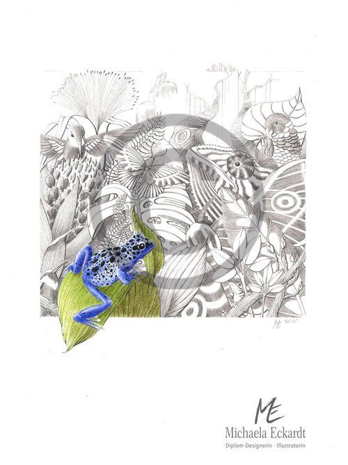 Lebensraum Regenwald, Pfeilgiftfrosch und Großstadt