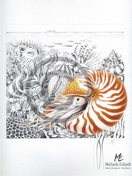 Lebensraum Ozean mit Nautilus und Kreuzfahrtschiff