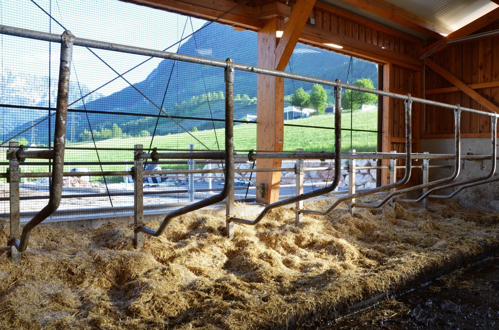 Um und Zubau Milchviehstall für 35 Kühe