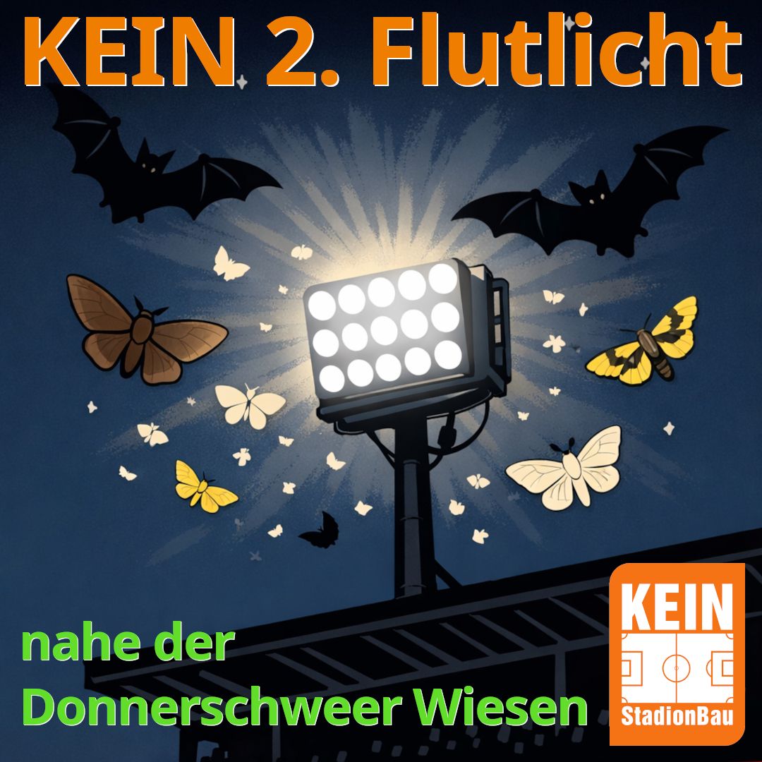 Fernsehflutlicht