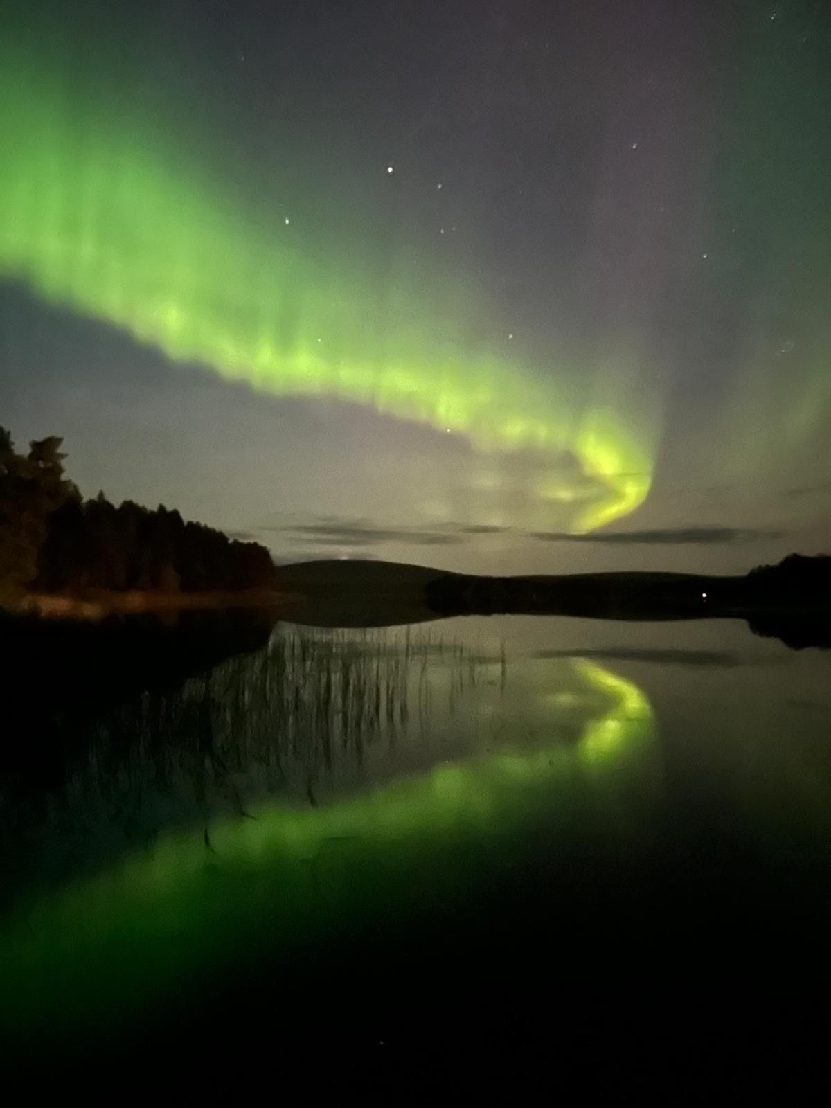 Nordlichter über der Villa Aurora Moskosel