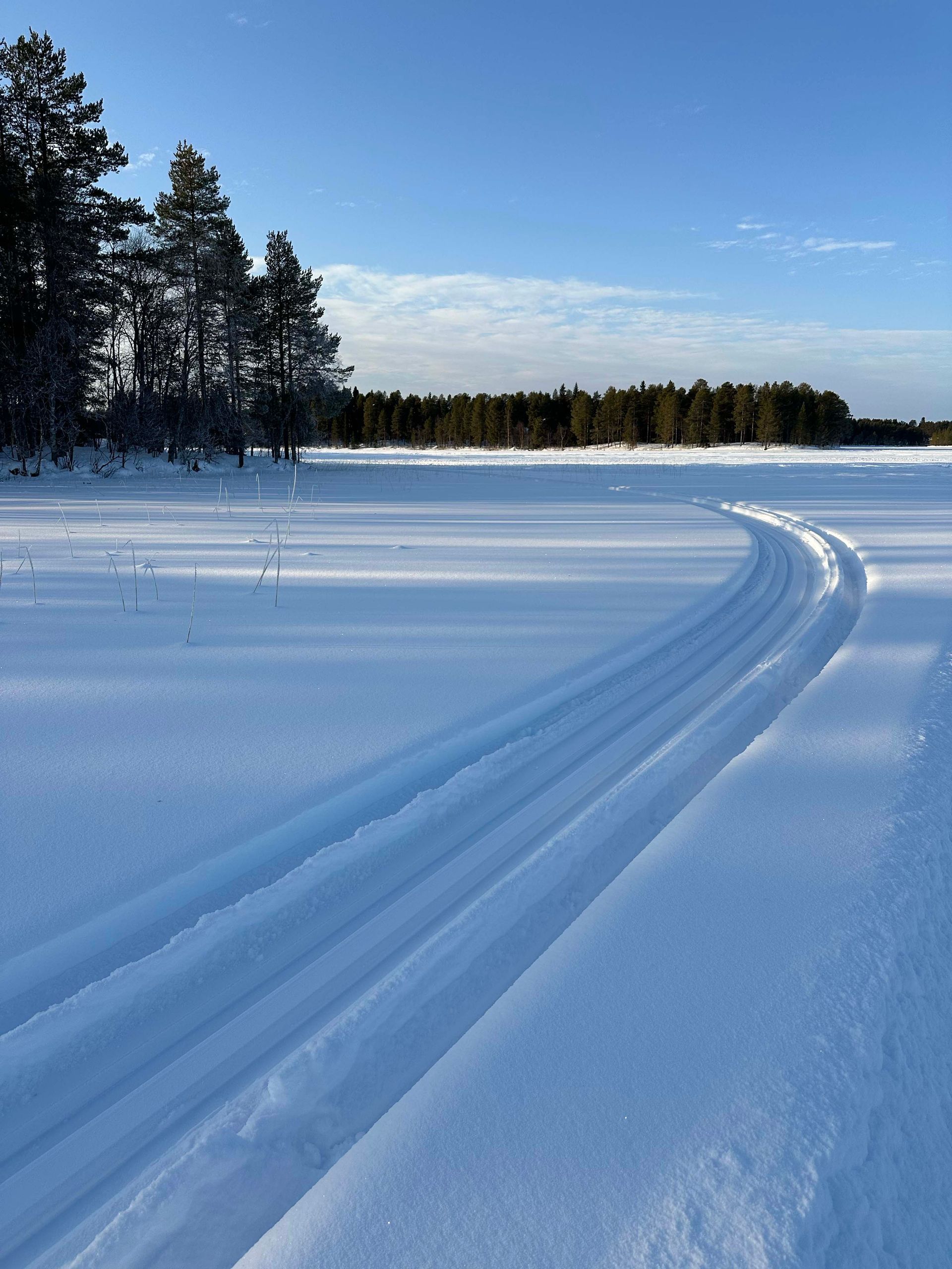 Loipe an der Villa Aurora Moskosel